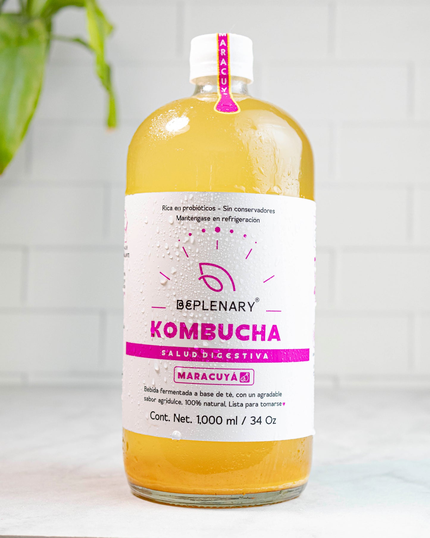 DELICIOSA KOMBUCHA BEPLENARY 1 L