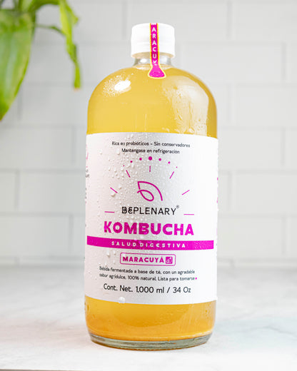 DELICIOSA KOMBUCHA BEPLENARY 1 L