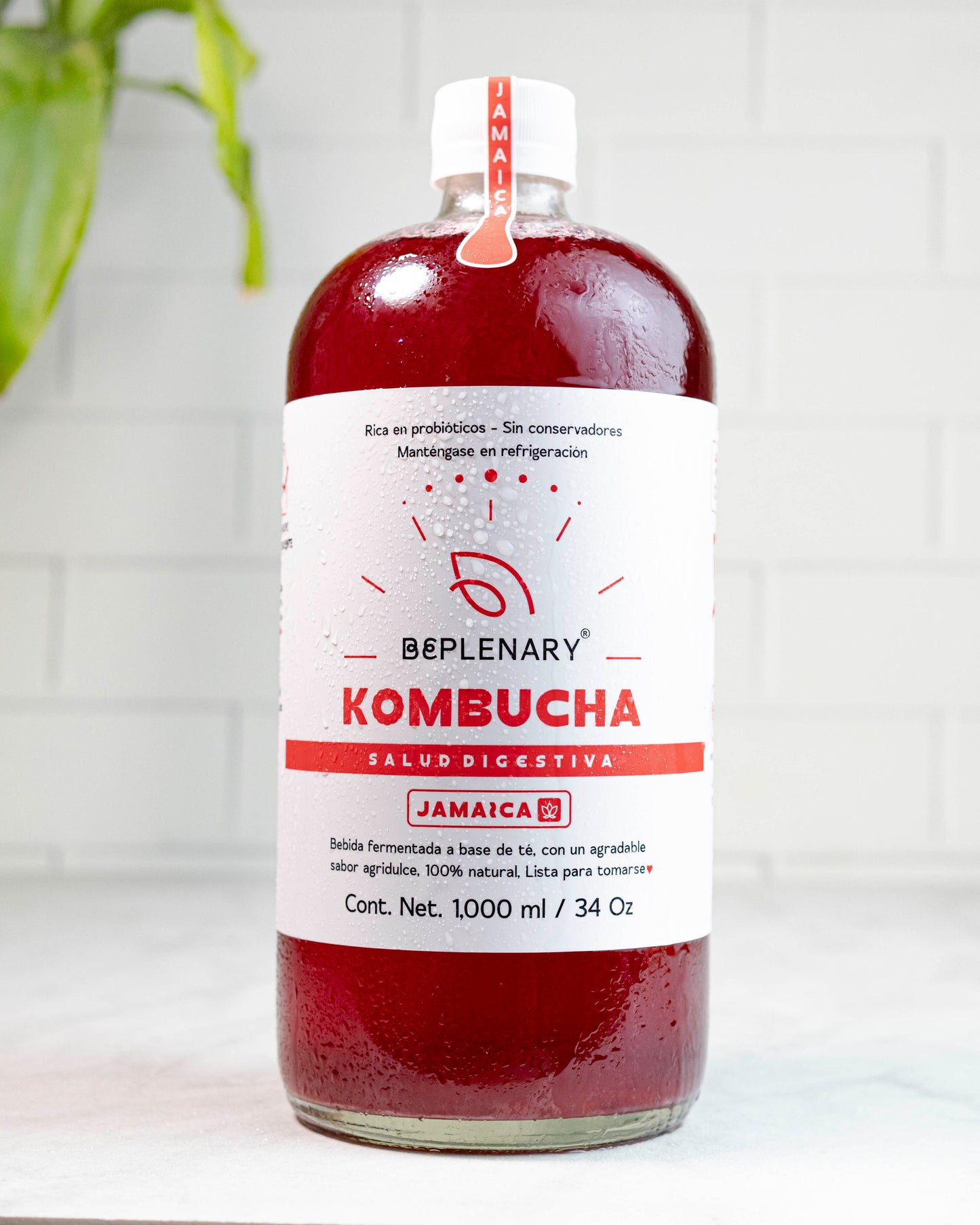 DELICIOSA KOMBUCHA BEPLENARY 1 L
