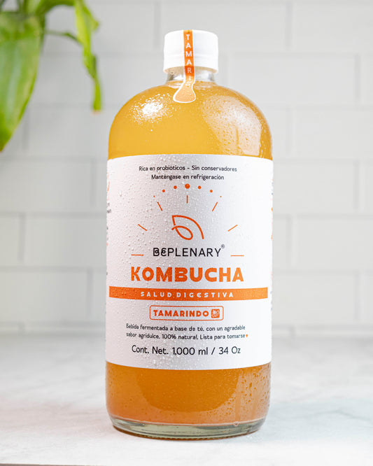 DELICIOSA KOMBUCHA BEPLENARY 1 L