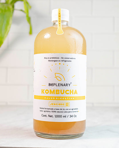 DELICIOSA KOMBUCHA BEPLENARY 1 L