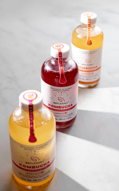 DELICIOSA KOMBUCHA BEPLENARY 1 L