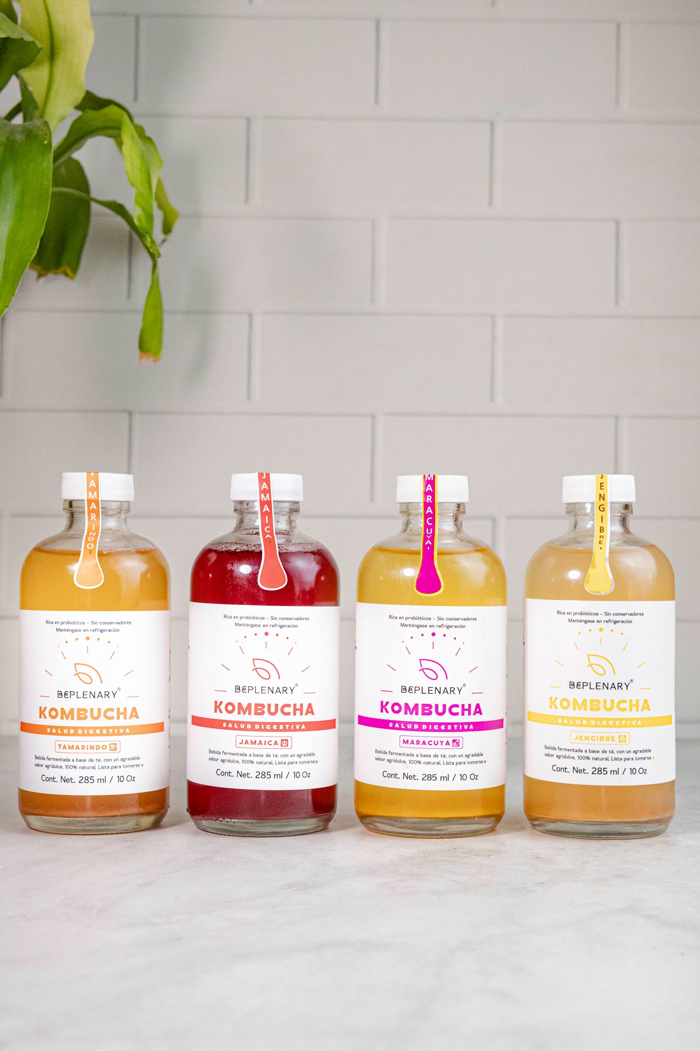 DELICIOSA KOMBUCHA 285 ML. JAMAICA-MARACUYA-JENGIBRE -TAMARINDO