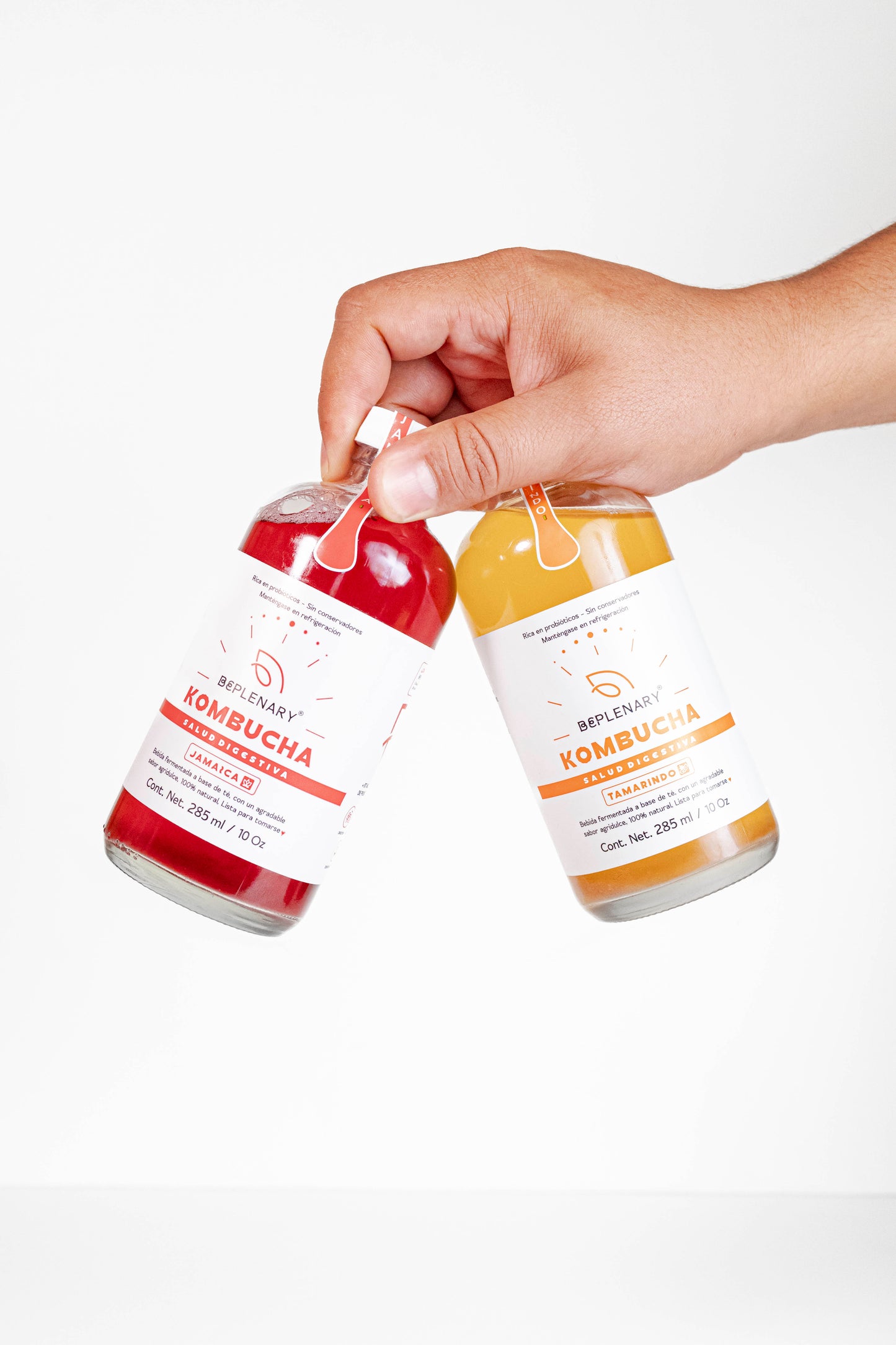 DELICIOSA KOMBUCHA BEPLENARY 1 L