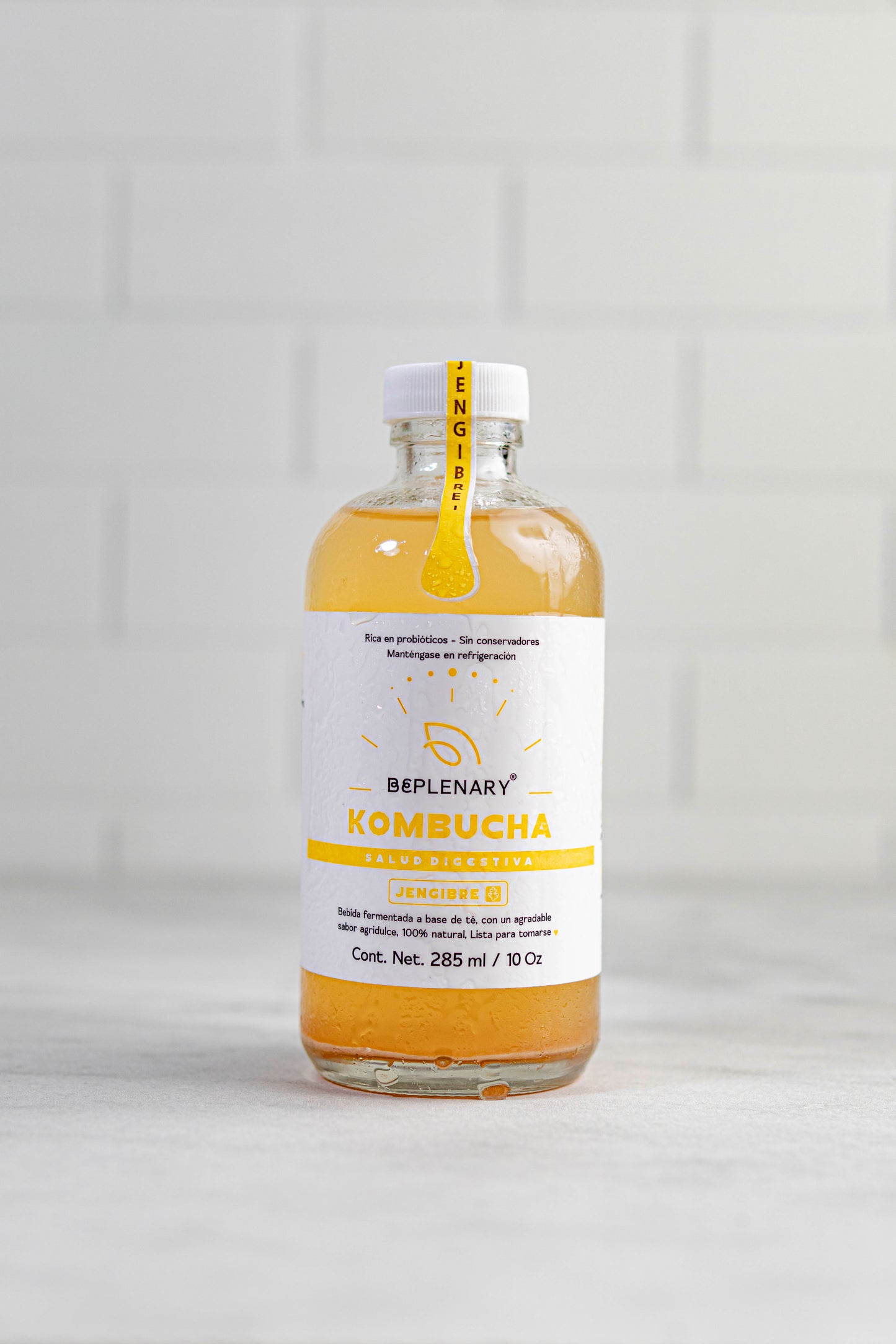 DELICIOSA KOMBUCHA 285 ML. JAMAICA-MARACUYA-JENGIBRE -TAMARINDO