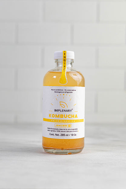 DELICIOSA KOMBUCHA 285 ML. JAMAICA-MARACUYA-JENGIBRE -TAMARINDO