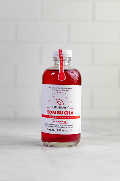 DELICIOSA KOMBUCHA 285 ML. JAMAICA-MARACUYA-JENGIBRE -TAMARINDO