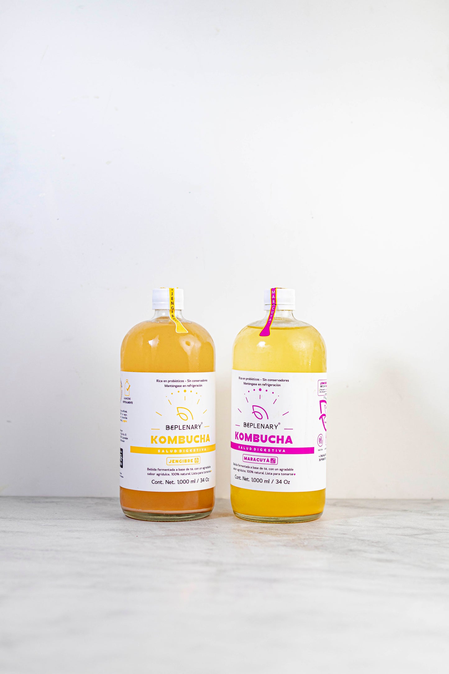 DELICIOSA KOMBUCHA BEPLENARY 1 L