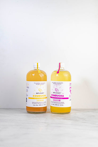 DELICIOSA KOMBUCHA BEPLENARY 1 L