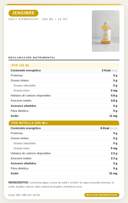 DELICIOSA KOMBUCHA 285 ML. JAMAICA-MARACUYA-JENGIBRE -TAMARINDO
