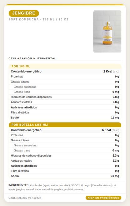 DELICIOSA KOMBUCHA 285 ML. JAMAICA-MARACUYA-JENGIBRE -TAMARINDO